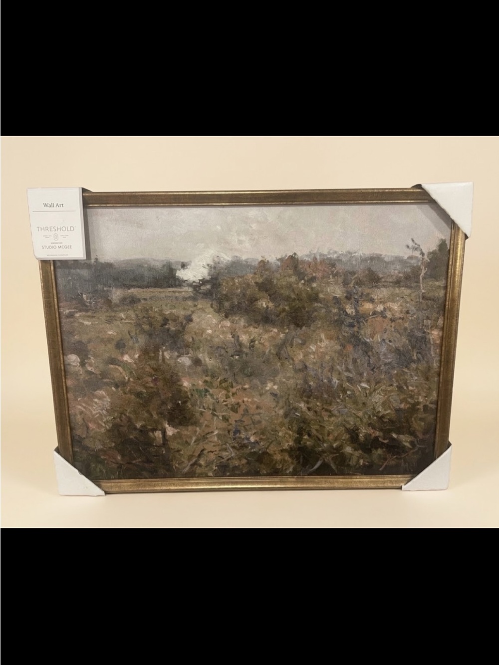 Threshold Gold Framed Impressionist Meadow Wall Art - Olive, Brown, Gray